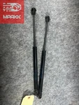 2018-2025 Ford Expedition Set Of Front Hood Lift Supports Oem JL1B-16C826-AC. Fixed Price $50.00.