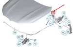 New Bmw G11 Engine Hood Right Actuator 51237347406 Genuine. Fixed Price $418.06.