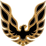 Firebird Trans Vintage Retro American Muscle Car Vinyl Sticker Decal Hood. Fixed Price $104.99.