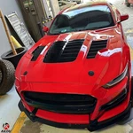 Hood Ford Mustang Kr 2018-2023. Fixed Price $350.00.