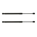 For Buick Lacrosse 2017-2019 Hood Lift Supports Driver And Passenger Side Pair. Fixed Price $46.81.