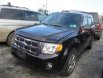 Escape 2011 Hood Hinge 256092. Fixed Price $94.00.