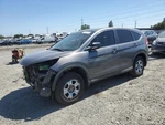 Gry Hood Oem 12-14 Honda Cr-v. Fixed Price $173.00.