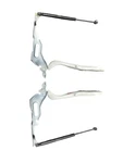 2017-2022 Ford F250 Front Left & Right Hood Bonnet Hinge Set (2) Star White (az). Fixed Price $99.11.