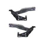 For Nissan Maxima 2009-2014 Hood Hinge Driver And Passenger Side Pair NI1236138. Fixed Price $58.05.