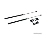 P2M Ford Mustang 2005-09 (S197) Black Series Engine Hood Damper. Fixed Price $82.56.