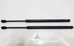 12-20 Oem Tesla Model Front Bonnet Hood Lift Gas Shock Strut Support Set. Fixed Price $69.95.