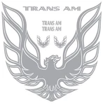 Firebird Trans Vintage Retro American Muscle Car Vinyl Sticker Decal Hood. Fixed Price $169.99.