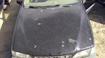 (local Pickup Only) Hood Station Wgn Xc Fits 98-00 Volvo 70 Series 278551. Fixed Price $144.99.
