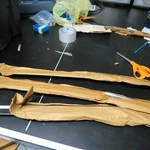 Wonderful Nos 1965 1966 Mustang Hood Molding Moulding Front Edge C5ZZ-16856-A. Fixed Price $195.00.